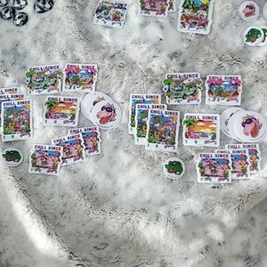 Brandy Melville 13 pc sticker pack - dinosaur "chill since 1993"